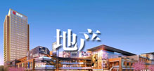 地产